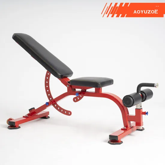 Gym Bench Professional Exercise Strength Equipment Adjustable Bench (Incline/ Flat/Decline)