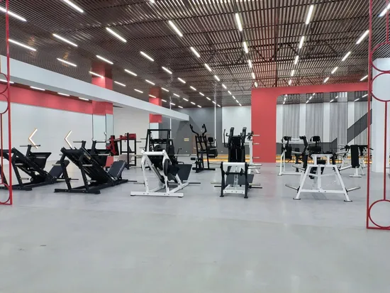 Commercial Strength Gym Equipment Fitness Machine Olympicing Flat Bench