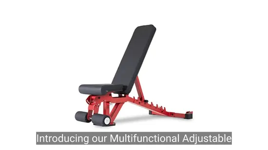 Multifunctional Adjustable Steel Weight Lifting Bench for Gym 