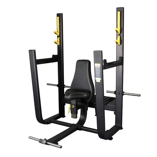 Gym Free Weights Rack Fitness Equipment Plate Loaded Body Building Stool Seated Bench 