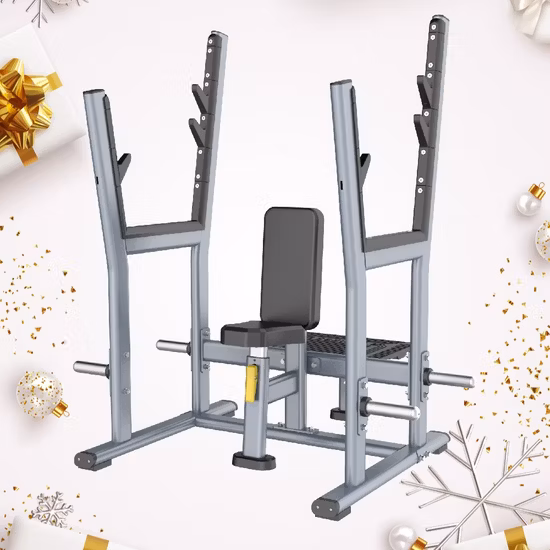 Top 10 Exercise Gym Equipment Best Brand Seated Bench for Sale 