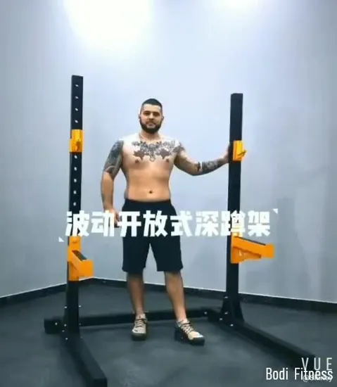 Body Building Power Rack Power Squat Functional Trainer Multi Gym Machine 